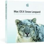 0908snowleo_box