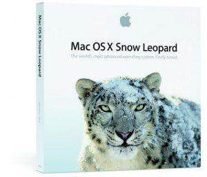 0908snowleo_box