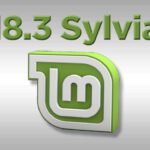 1088_LinuxMintSylvia