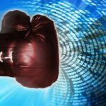 Data breach punch