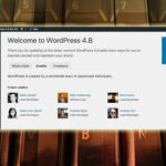 Wordpress 48 2