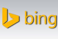 Microsoft Bing search
