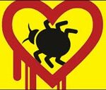 Heartbleed bug