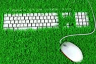 Microsoft Green 2