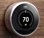 Nest
