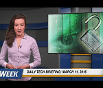 Daily Briefing 311B