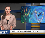 Daily Briefing 325B