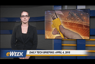 Daily Briefing 404B