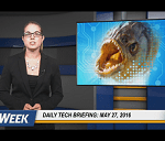 Daily Briefing 527B