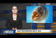 Daily Briefing 527B