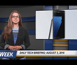 Daily Briefing 803
