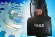 Agile and management