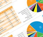 Akamai report