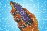 Microsoft OneNote