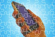 mobile device management