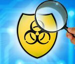 vulnerability identification