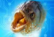 Microsoft Exchange Online Protection