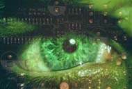 Cyber spy