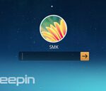 Deepin 2014