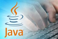 Java 20 years
