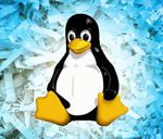Linux security course