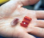 MIT origami robots