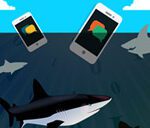 Mobile app vulnerabilities