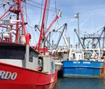 New Bedford harbor