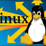 Linux on Windows Server