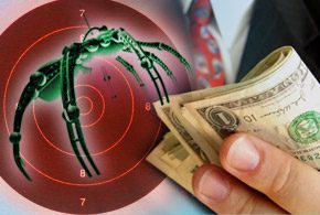 bug bounty
