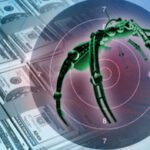 bug bounty