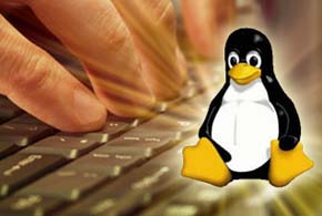 Linux 3.12 Gets Aggressive as Linus Torvalds Plans Linux 4.0