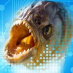 phishing attacks