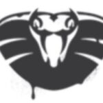 VENOM flaw