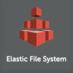 AWS elastic file system