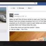 Airline.bot