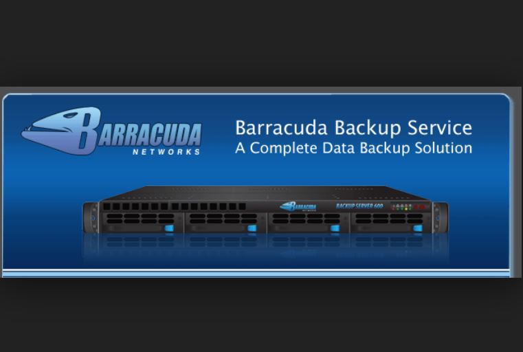 Barracuda