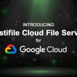 Elastifle.GoogleCloud