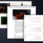 Flashpoint API