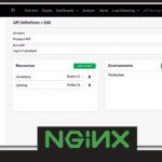 Nginx API