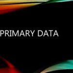 PrimaryData.logo