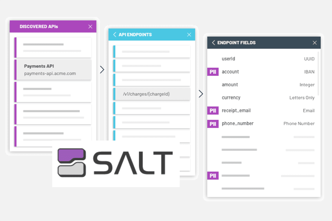 Salt Security Launches API Protection Platform