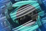 net neutrality