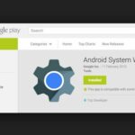Webview.Google
