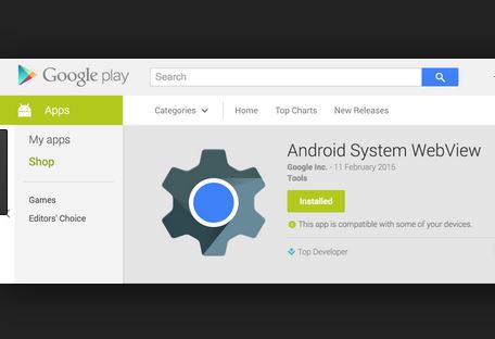 Webview.Google
