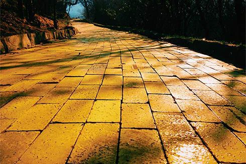 Yellowbrick.road