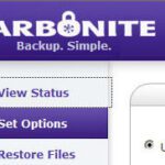 New Carbonite CEO