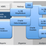 oracle