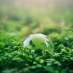 Crystal ball on moss in green forest.