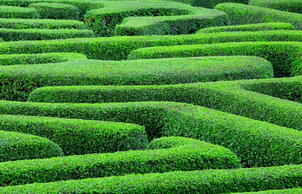 Crowdflare’s Free AI Labyrinth Distracts Crawlers That Could Steal Website Content